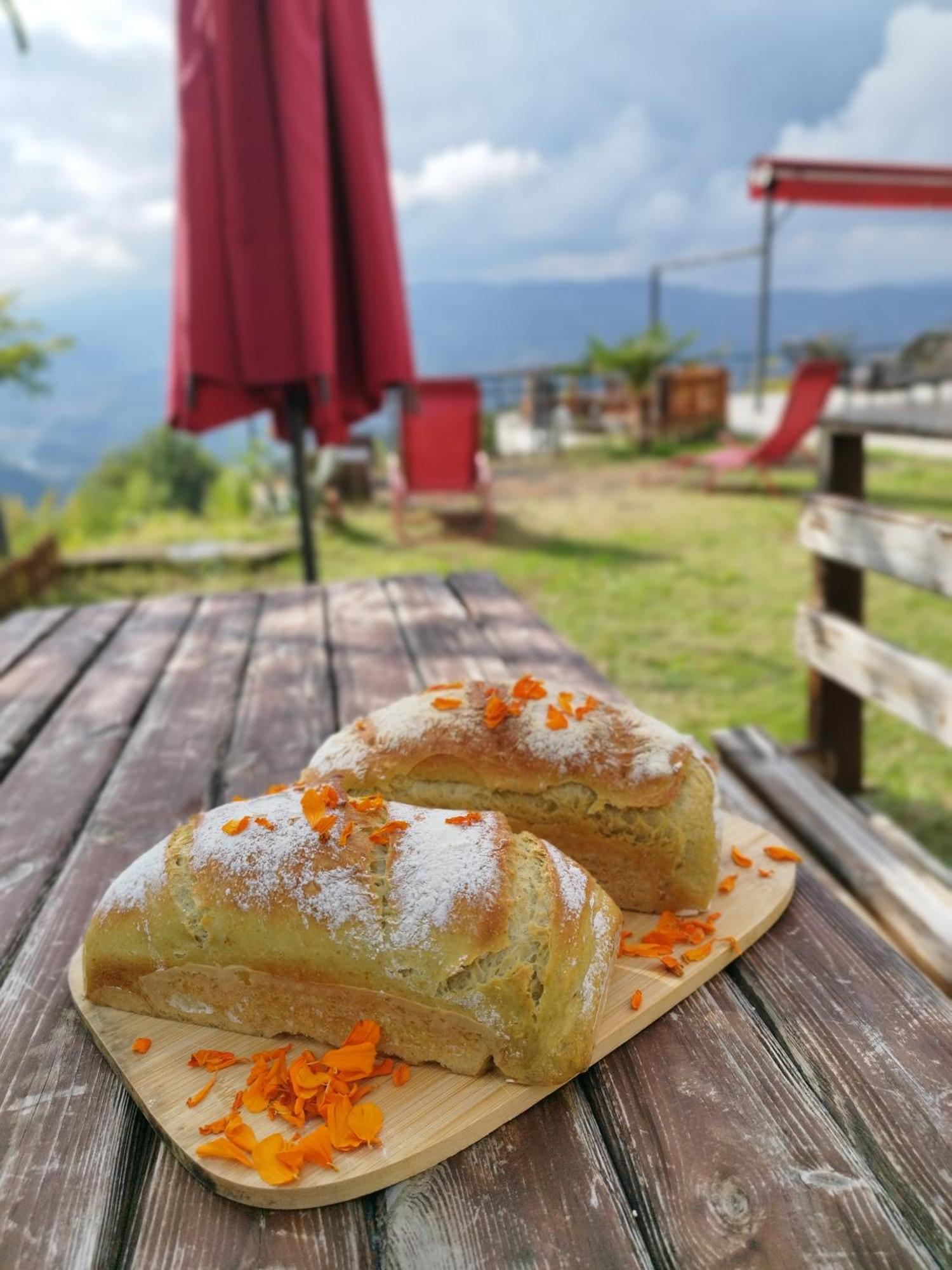 Hayat Oksijen Resort Орду Екстериор снимка